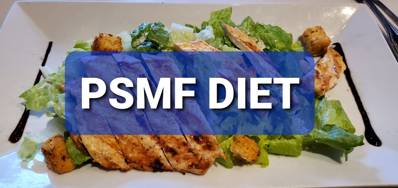 Protein Sparing Modified fast diet